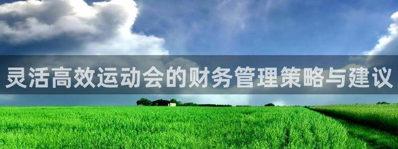 灵活高效运动会的财务管理策略与建议
