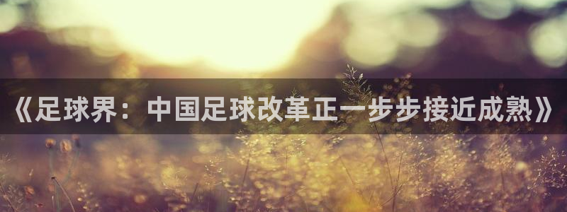《足球界：中国足球改革正一步步接近成熟》