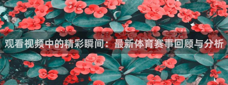 观看视频中的精彩瞬间：最新体育赛事回顾与分析