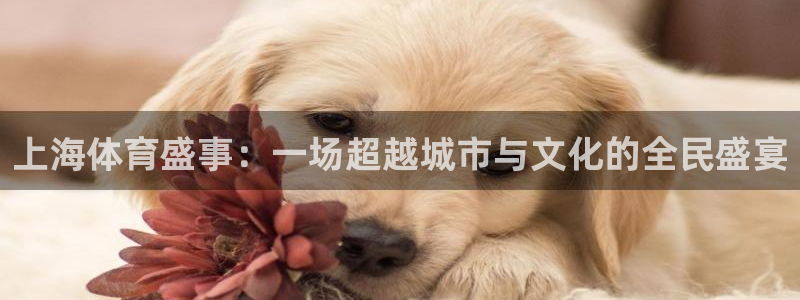 上海体育盛事：一场超越城市与文化的全民盛宴