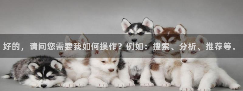 好的，请问您需要我如何操作？例如：搜索、分析、推荐等。