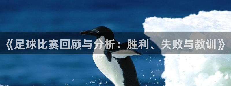 《足球比赛回顾与分析：胜利、失败与教训》