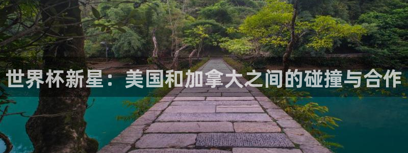世界杯新星：美国和加拿大之间的碰撞与合作