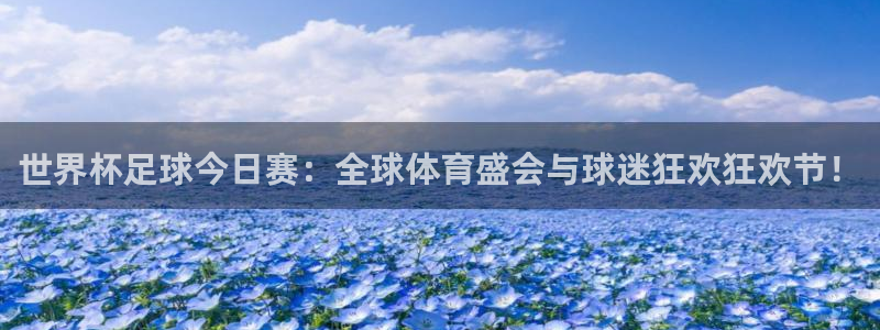 世界杯足球今日赛：全球体育盛会与球迷狂欢狂欢节！