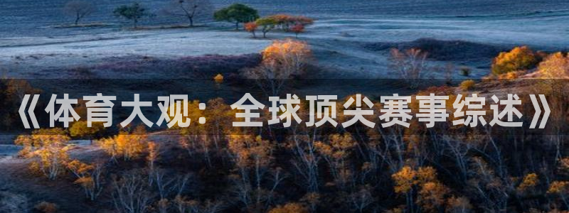 《体育大观：全球顶尖赛事综述》