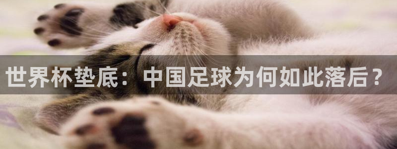 世界杯垫底：中国足球为何如此落后？