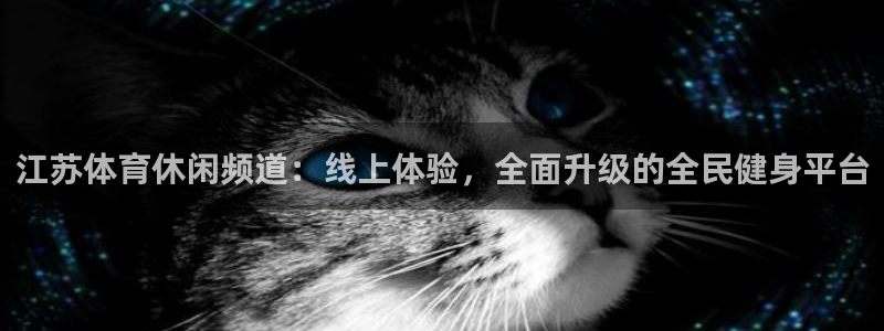 江苏体育休闲频道：线上体验，全面升级的全民健身平台